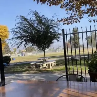 Looking out onto the golf course.