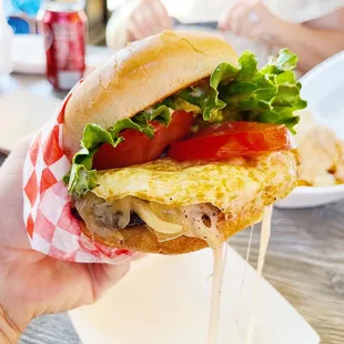 a hand holding a sandwich