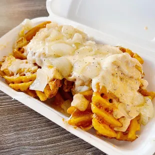 fries with cheese and onions