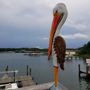 a pelican on a dock