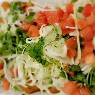 a taco with tomatoes and lettuce