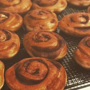 Original cinnamon roll with no finish