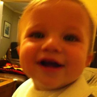 Tripp B.
