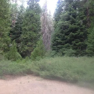 View from site #4
