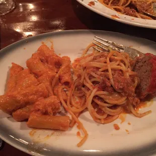Rigatoni with vodka sauce, spaghetti with bolognese and meatball