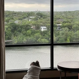 Room view of the river