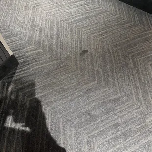 Hallway carpet stains throughout floor