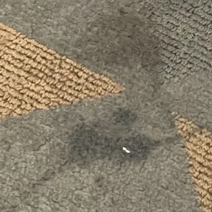 floor