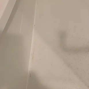 Mold in shower