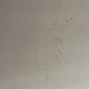 Shower area showing signs of mold and rust