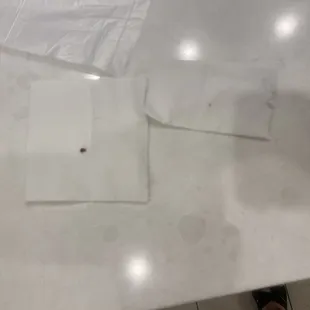 Bed bugs (dead) taken to front desk- they didn't care at all