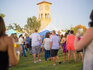 Village Fest