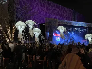 McDowell Mountain Music Festival