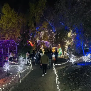 Holiday Lights at CALM 2023