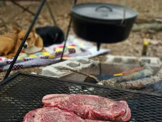 Ferdinand Processing