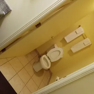 the bathroom not a piece of hair.