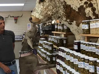 Mountain View RV Park