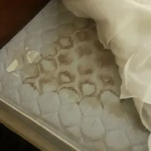 Bed we were sleeping on at the head