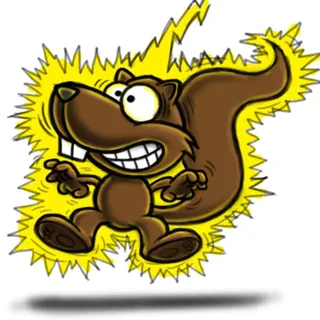 Squirrel B.