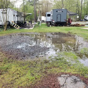 Swampy, swampy swampy