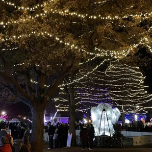 Lights and people