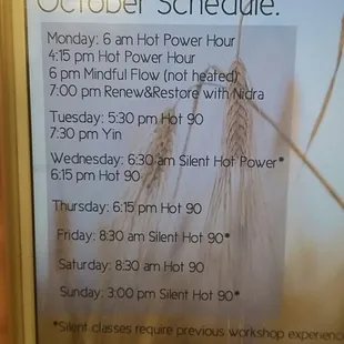 Holistic Harmony MedSpa