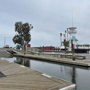 Nice day but can I find fish?
