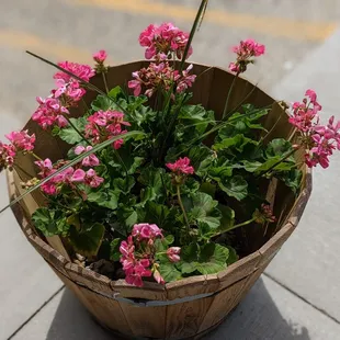 Pretty flowers outside the main entrance