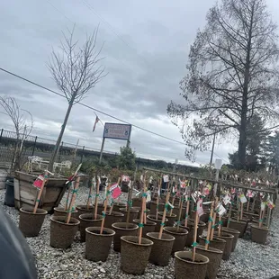 First visit here pretty excited!