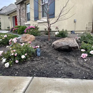 the front yard of a home