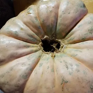 Bottom of pumpkin rotten