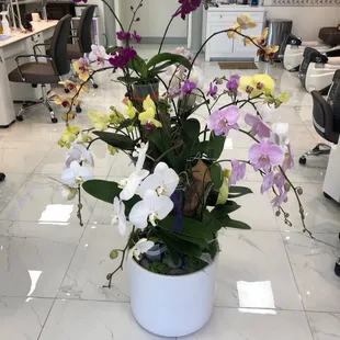 Beautiful salon, fresh orchids