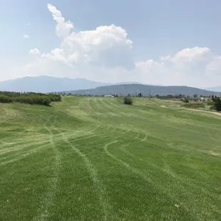 Hollydot Golf Course