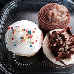 three cupcakes in a plastic container