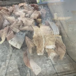 Hollywood Fish Market