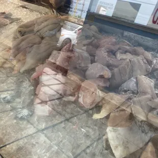 a variety of fish on display