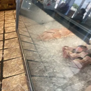 a variety of fish in a display case