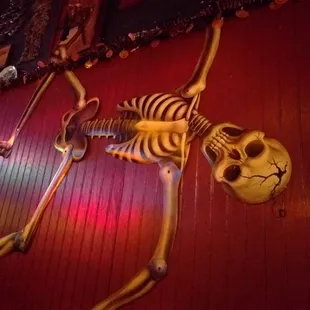a skeleton hanging on the wall