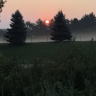 Early morning excitement!