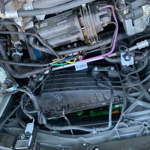 View when lifting off the "frunk" of the car.  Bottom of the pic you can see rat poison and chewed wires.