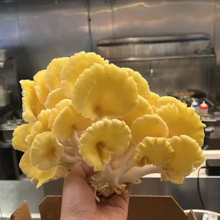 Fresh Selected Mushroom