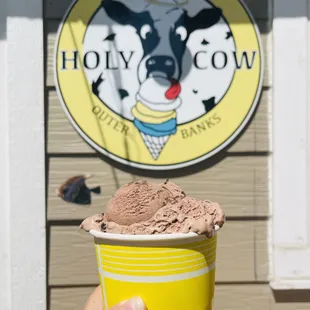 Death by Chocolate and blueberry cheesecake at the bottom