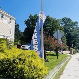 Look for these flags