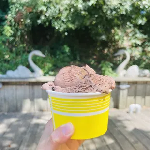 Death by Chocolate and blueberry cheesecake at the bottom