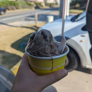 Coffee ice cream (forgot it&apos;s name but it&apos;s fantastic!)