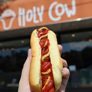 BEST CLASSIC HOT DOGS BY HOLY COW BURGERS AMAZING NEW YEAR 2025 ITS 100% HALAL