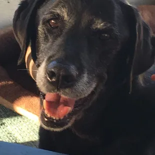 Another satisfied customer