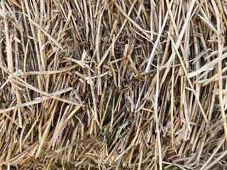 Triple L Feed & Supply