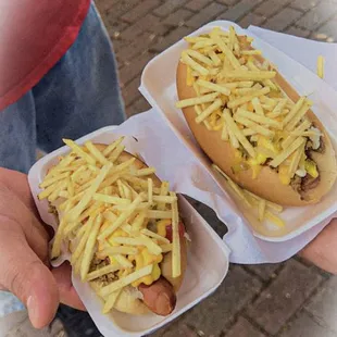 hot dog, sandwich, hot dogs, food