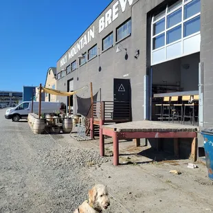 a dog sitting in front of a building